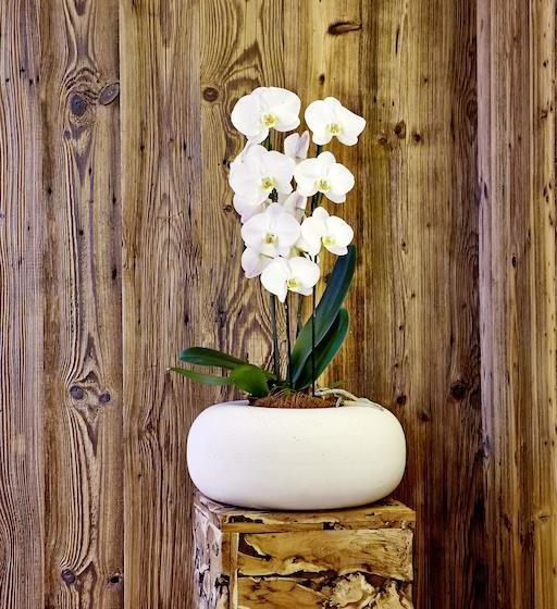 בית מלון כפרי Costes