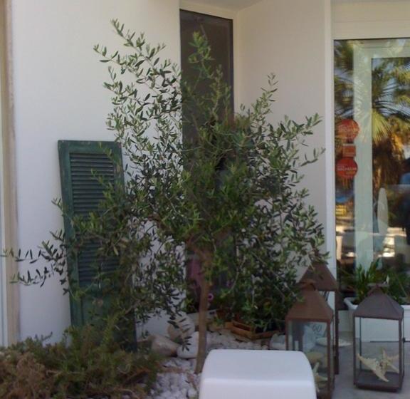 בית מלון כפרי Roma