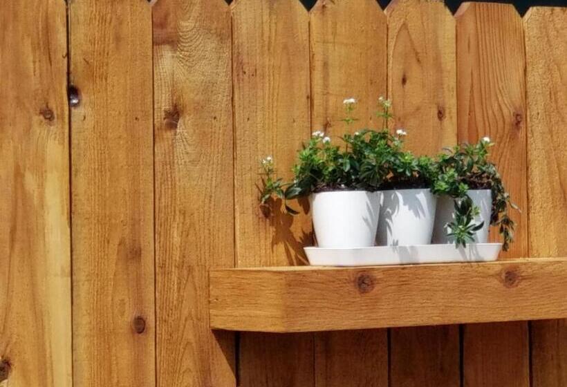 فندق على الطريق The Evergreen