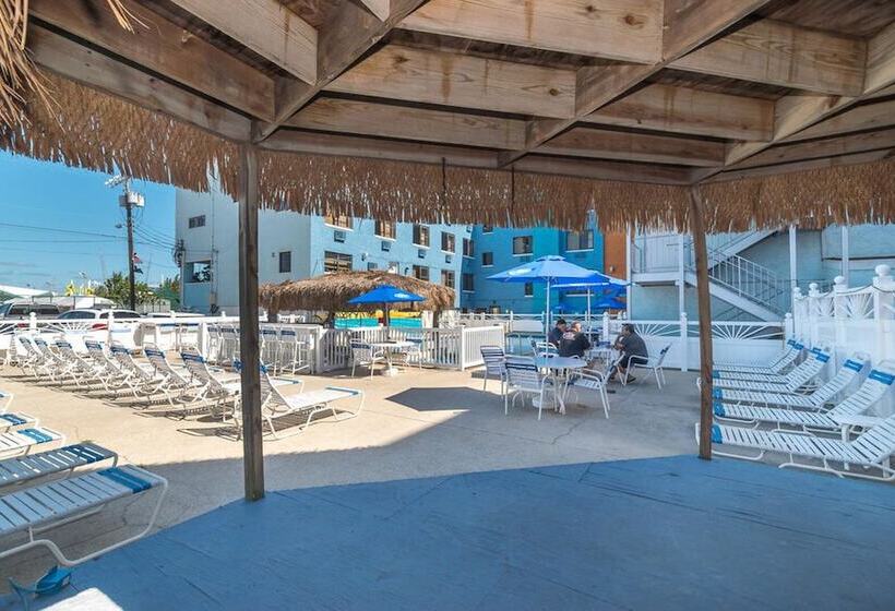 Oceanic Hotel & Barefoot Tiki Bar