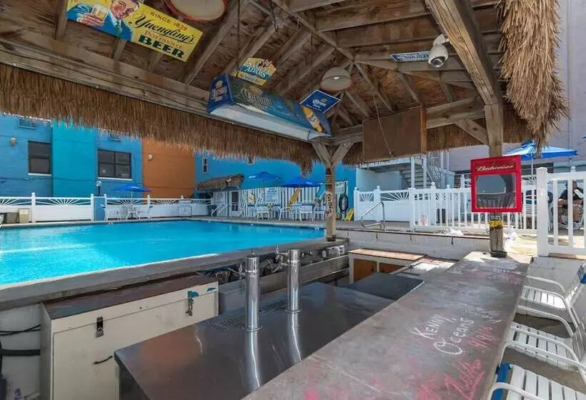 Oceanic Hotel & Barefoot Tiki Bar