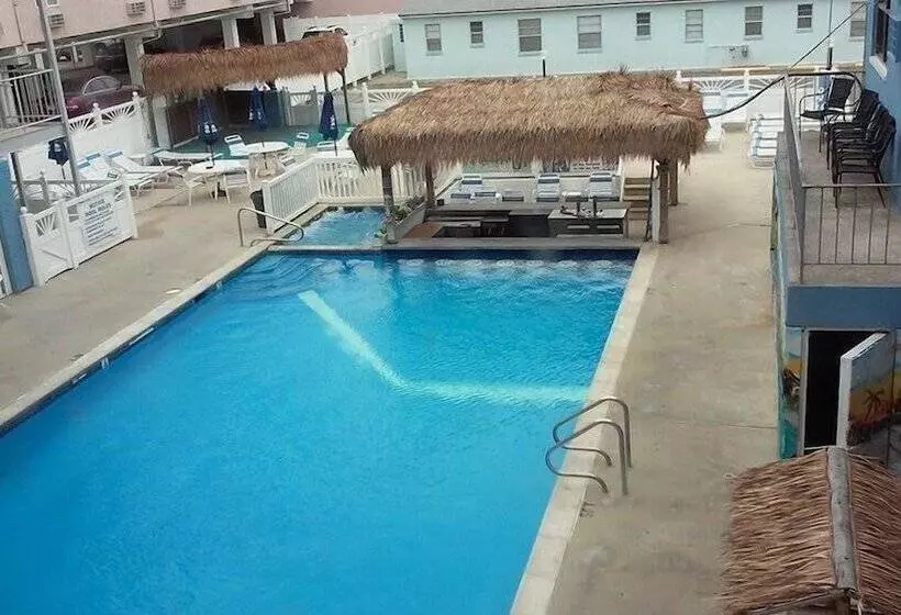 Oceanic Hotel & Barefoot Tiki Bar