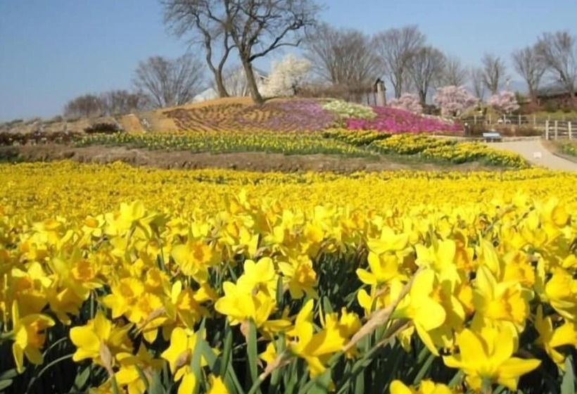 日式旅馆 Bouzantei Kotobuki