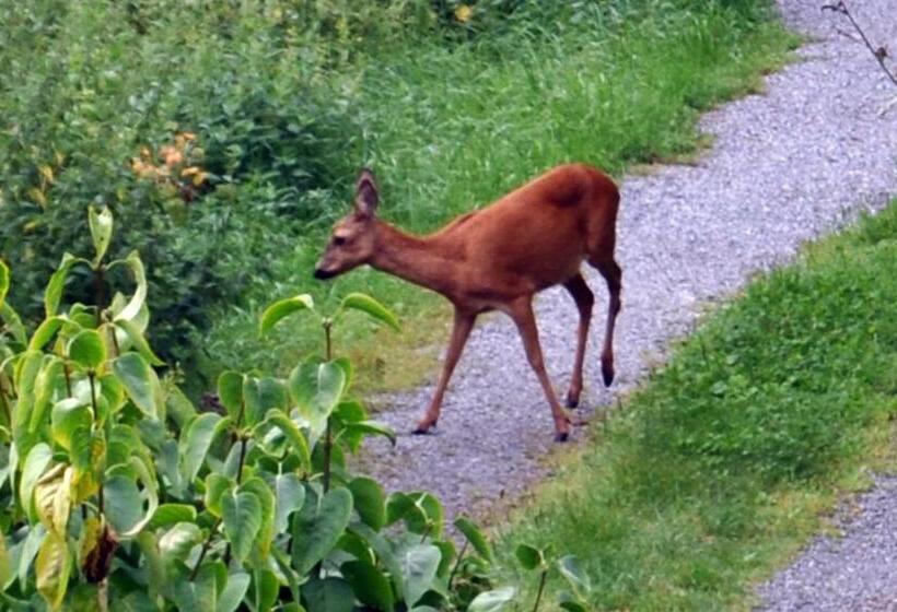 Bed and Breakfast Torpet Mon