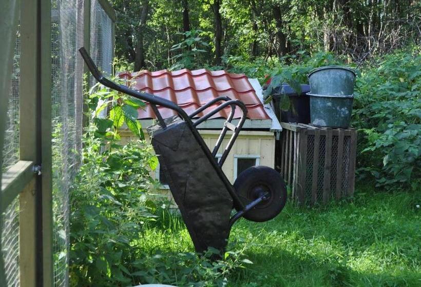 Bed and Breakfast Torpet Mon