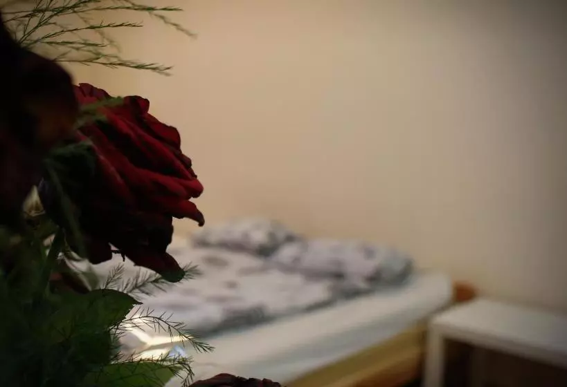 Hostel Krakowskie Klimaty