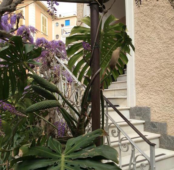 호텔 Albergo Fiorenza & Banksia Meublè