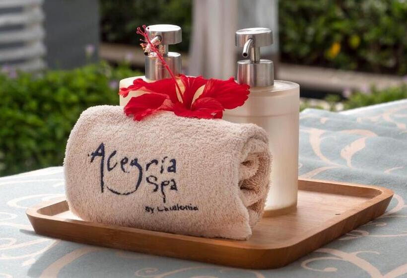 هتل Catalonia Royal La Romana - Adults Only - All Inclusive