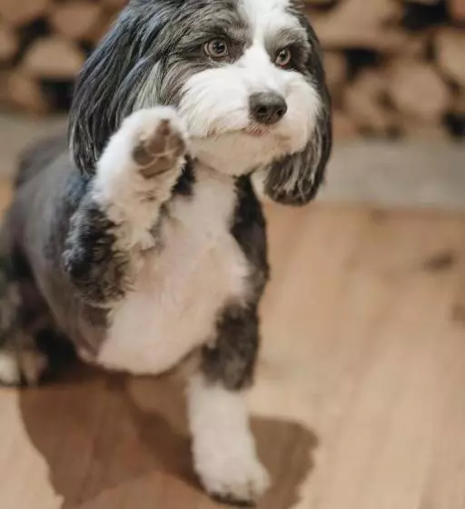 هتل Der Greil   Wein & Gourmet