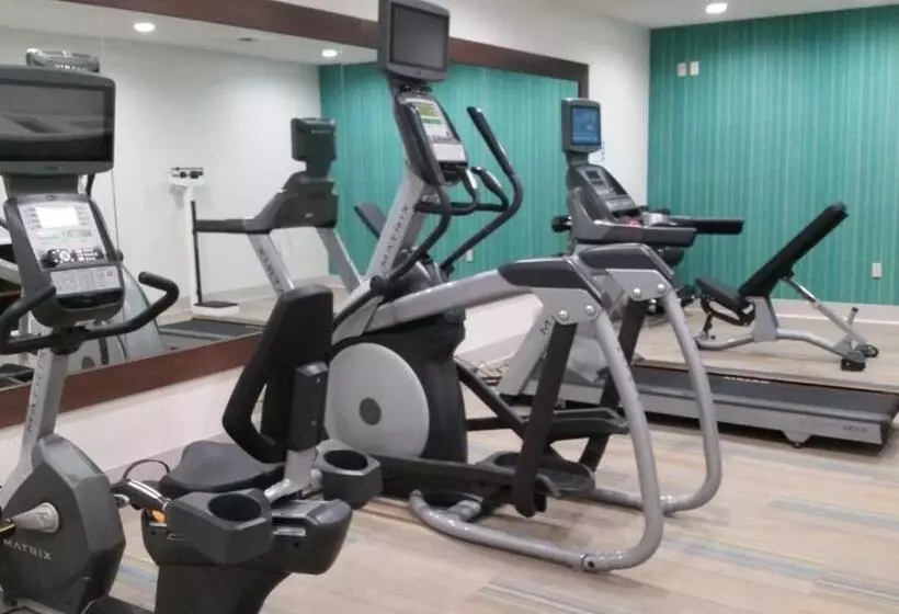 هتل Holiday Inn Express Pigeon Forge – Sevierville, An Ihg