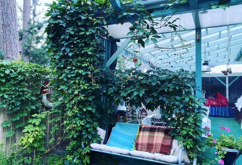 هتل Parus Boutique