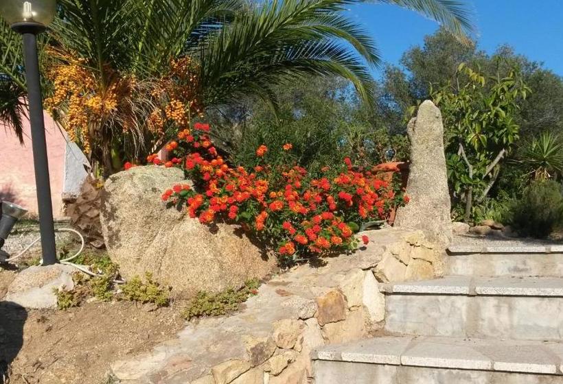 酒店 Turismo Rurale Montitundu