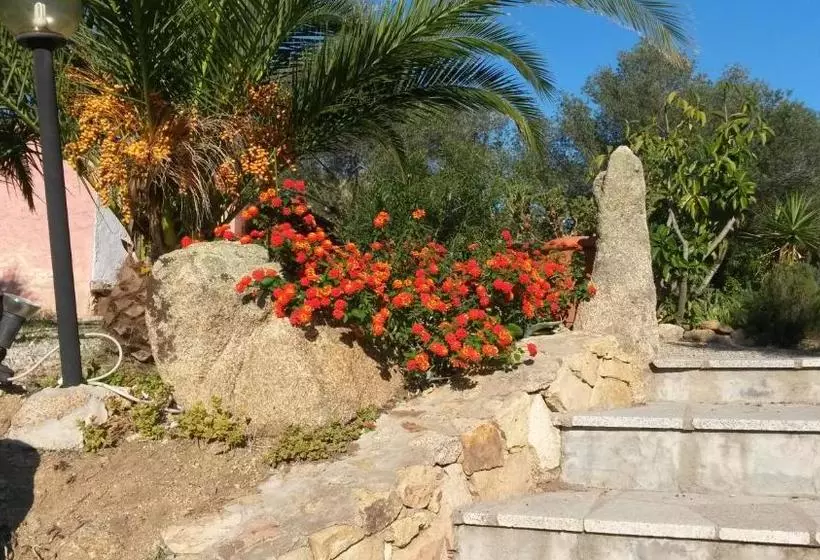 هتل Turismo Rurale Montitundu