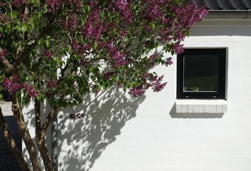 Lillelund Bed And Breakfast