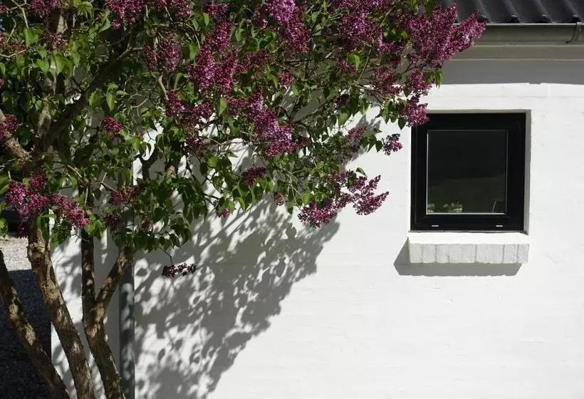 Lillelund Bed And Breakfast