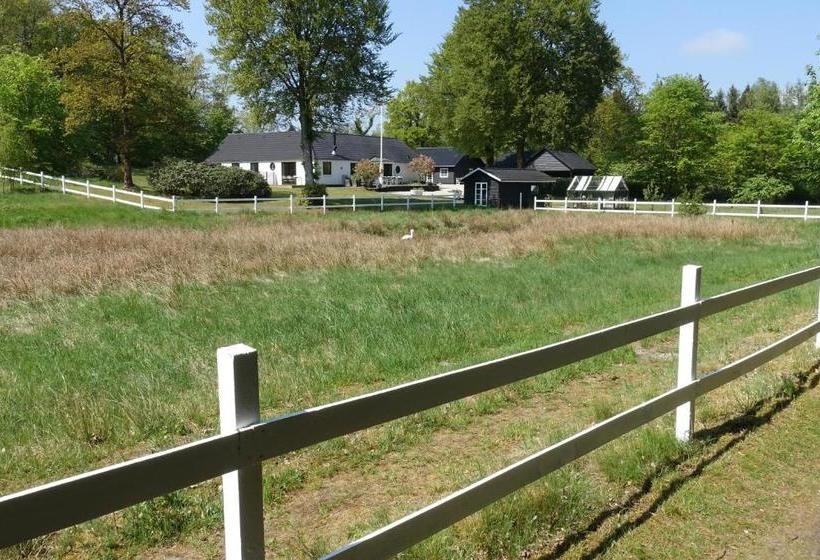 Lillelund Bed And Breakfast