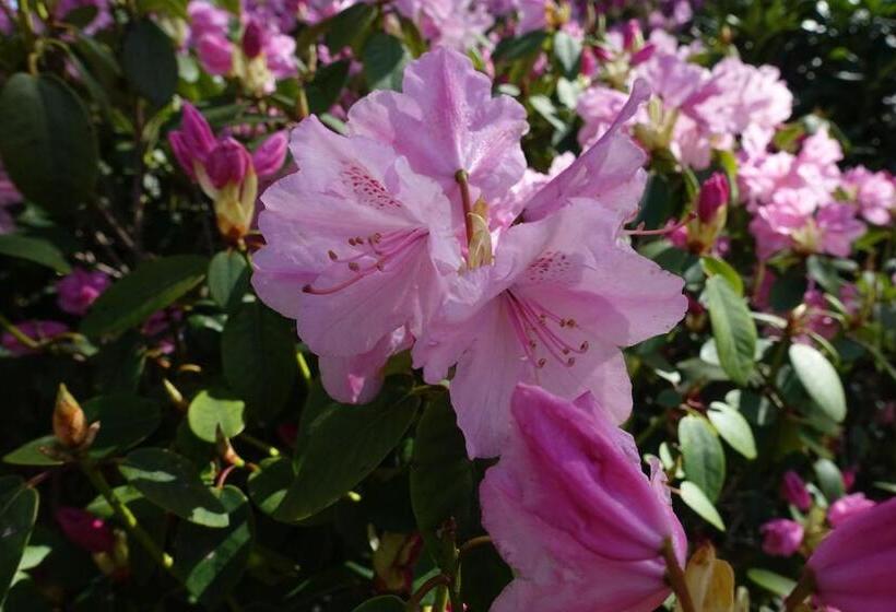 Lillelund Bed And Breakfast