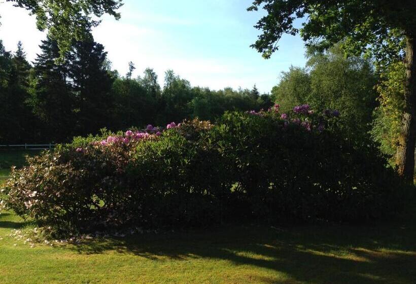 Lillelund Bed And Breakfast