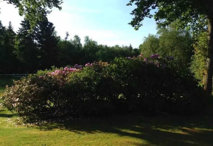 Lillelund Bed And Breakfast