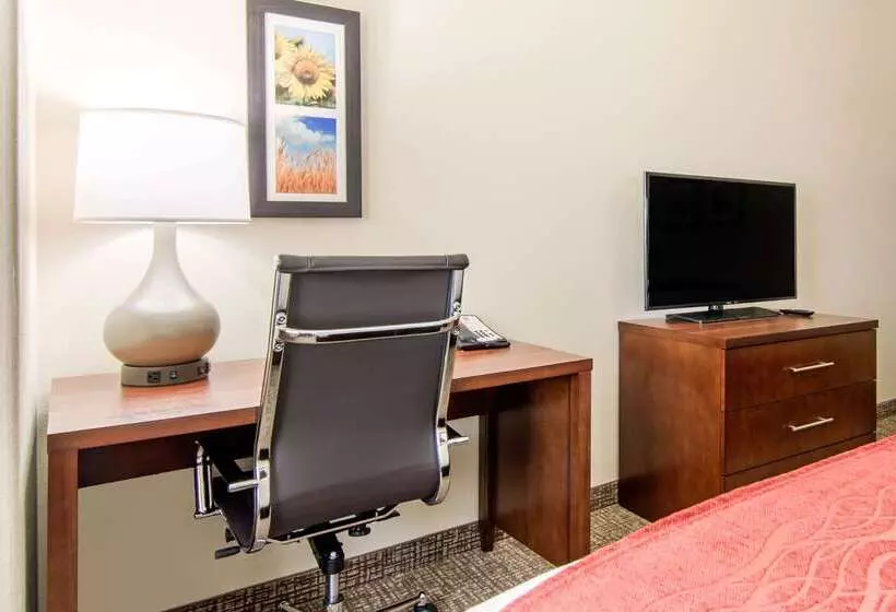 ホテル Comfort Inn & Suites Independence