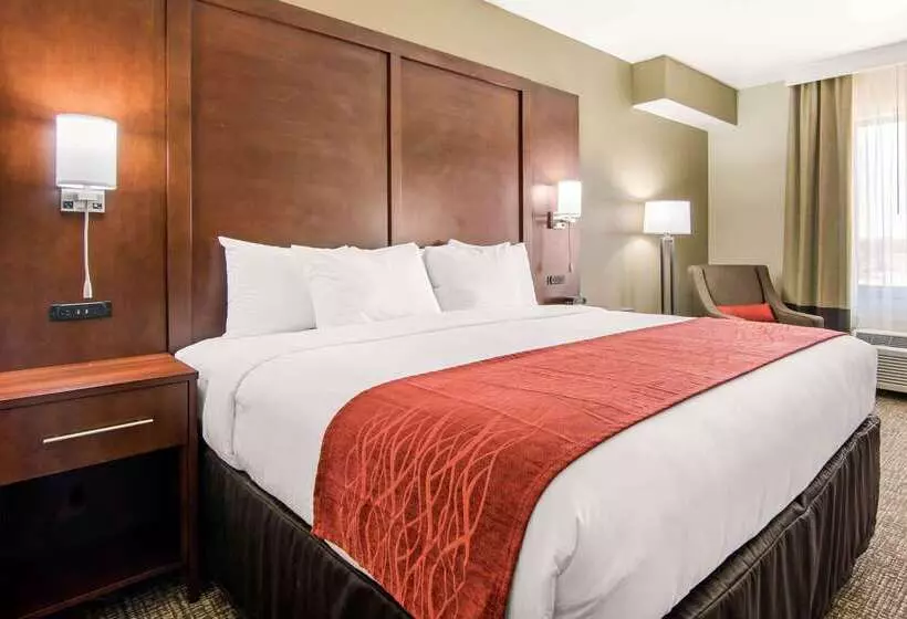 ホテル Comfort Inn & Suites Independence