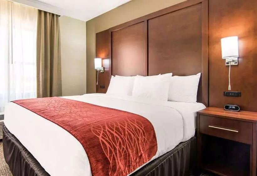ホテル Comfort Inn & Suites Independence