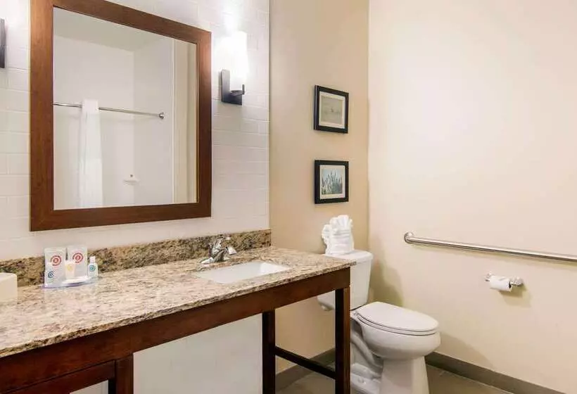 ホテル Comfort Inn & Suites Independence