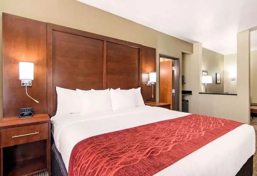 ホテル Comfort Inn & Suites Independence