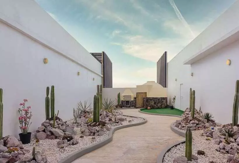 ホテル Doubletree By Hilton Mazatlan