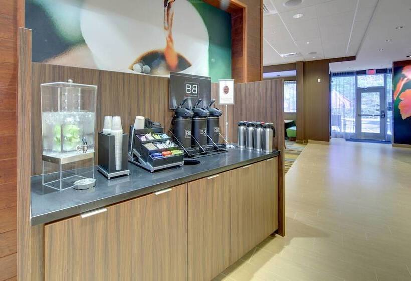 酒店 Fairfield Inn & Suites By Marriott Asheville Tunnel Road