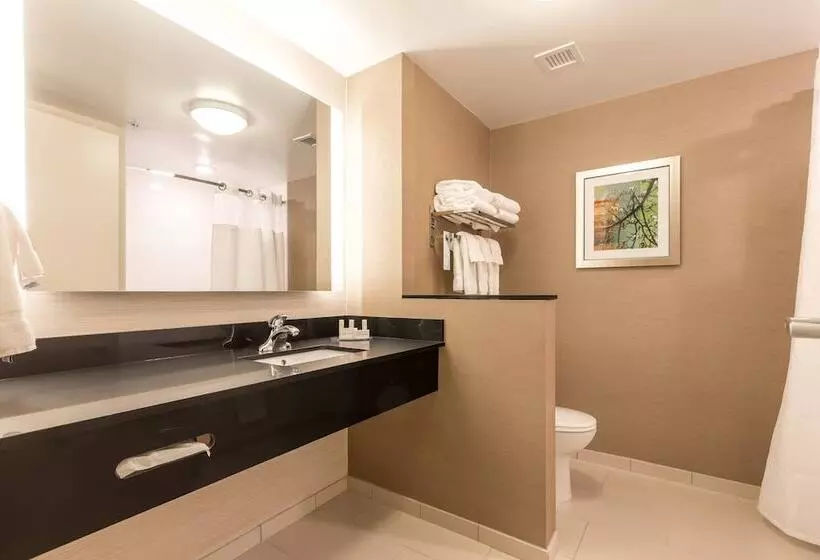ホテル Fairfield Inn & Suites By Marriott Asheville Tunnel Road