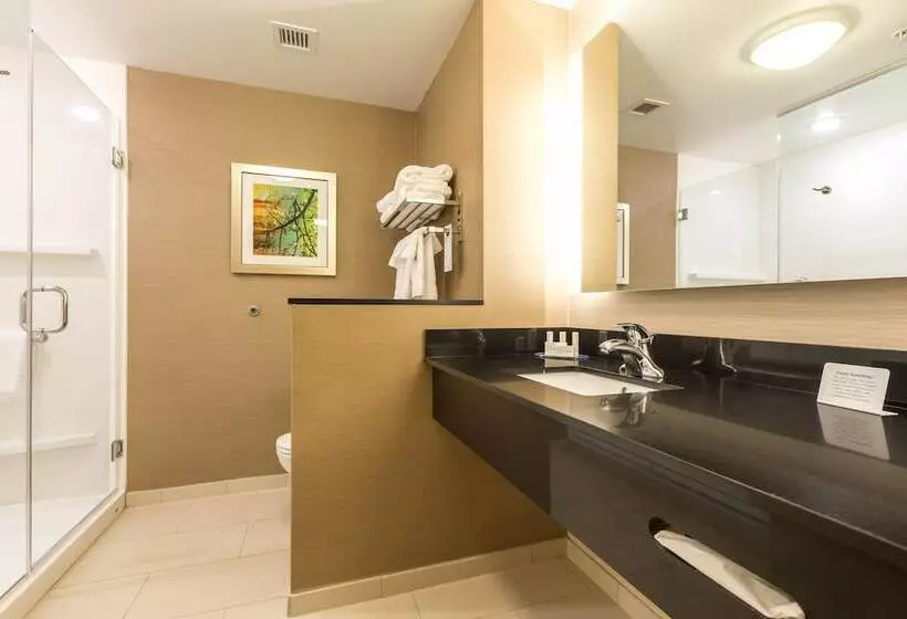 ホテル Fairfield Inn & Suites By Marriott Asheville Tunnel Road