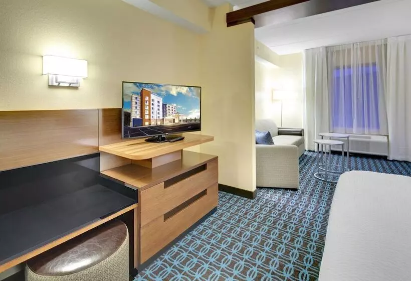 ホテル Fairfield Inn & Suites By Marriott Asheville Tunnel Road