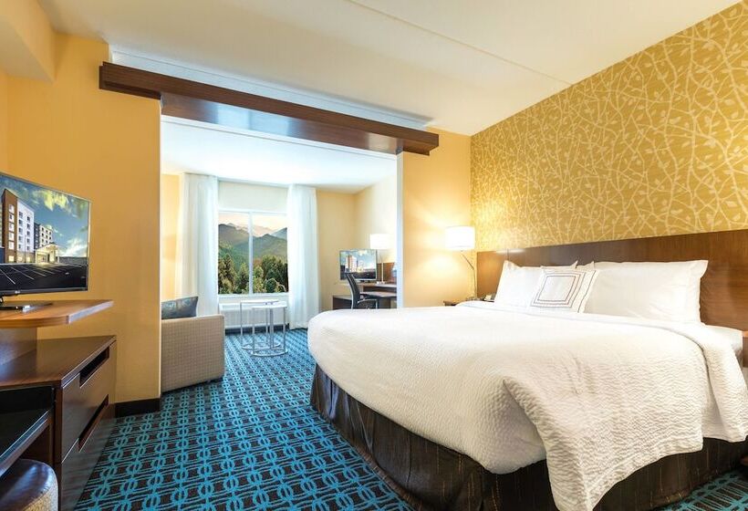 酒店 Fairfield Inn & Suites By Marriott Asheville Tunnel Road