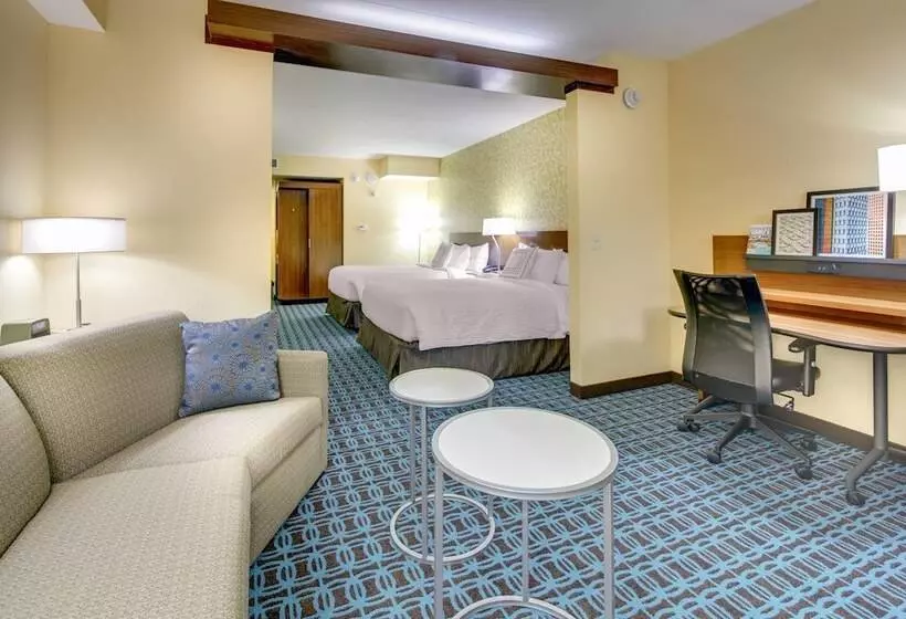 ホテル Fairfield Inn & Suites By Marriott Asheville Tunnel Road