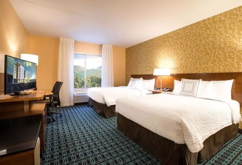 ホテル Fairfield Inn & Suites By Marriott Asheville Tunnel Road