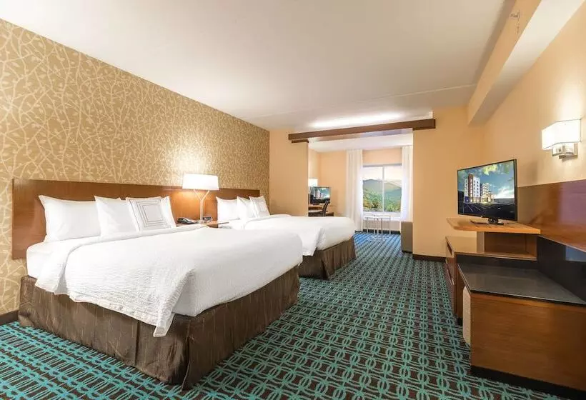 ホテル Fairfield Inn & Suites By Marriott Asheville Tunnel Road