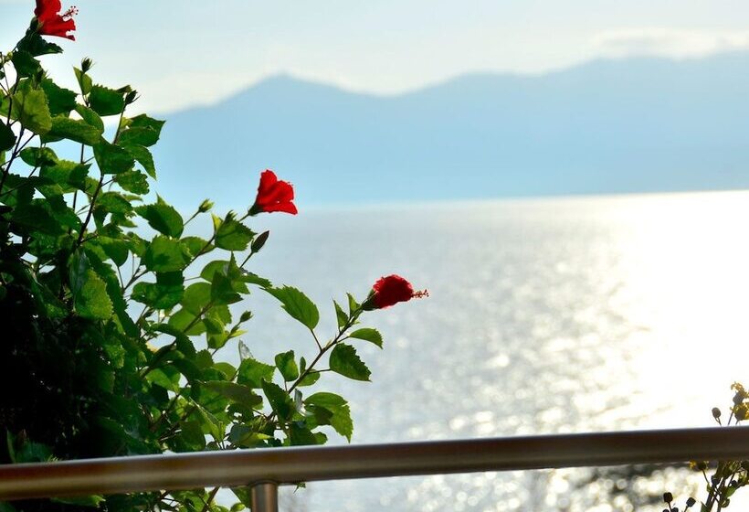 Отель Ibusuki Iwasaki