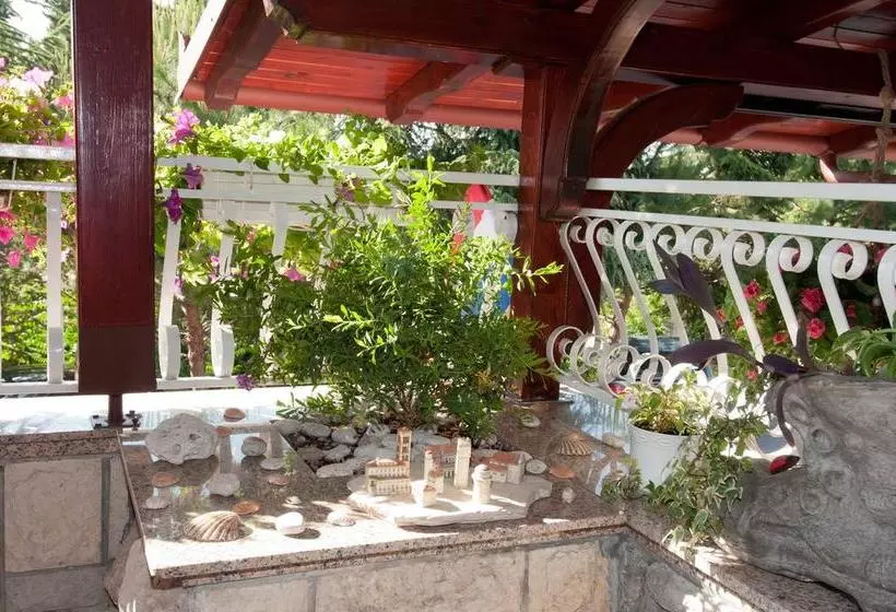 Bed & Breakfast Villa Klara