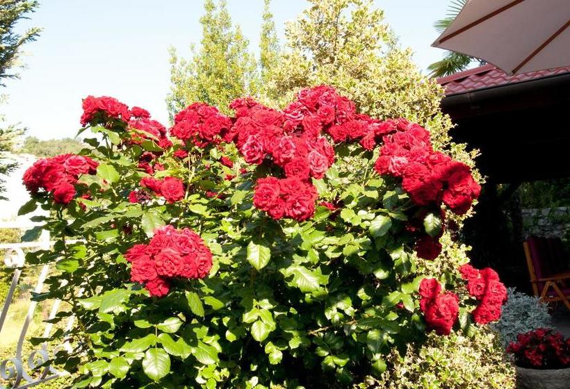 Bed & Breakfast Villa Klara