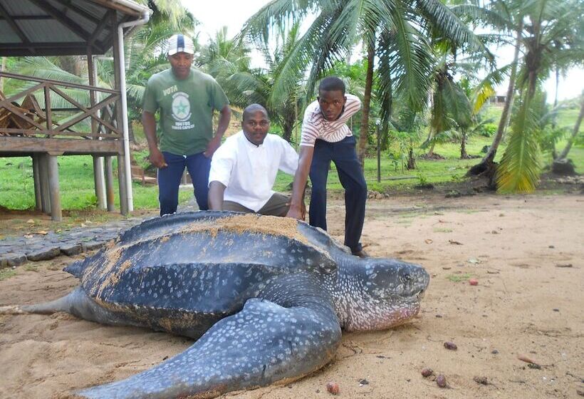 هتل Praia Inhame Ecolodge