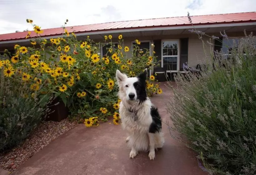 ホテル The Flagstone Boutique Inn & Suites