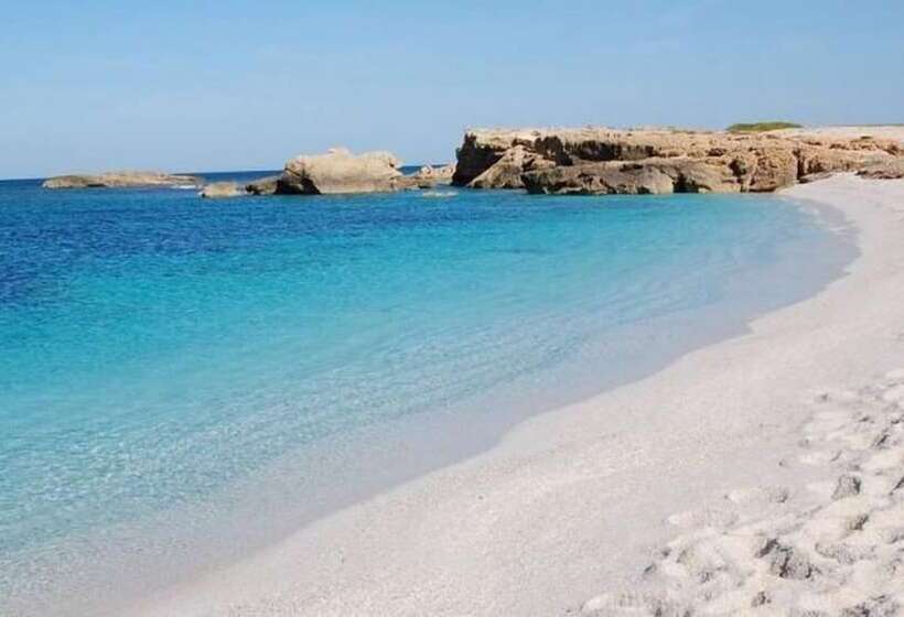 住宿加早餐  Memo's Affittacamere