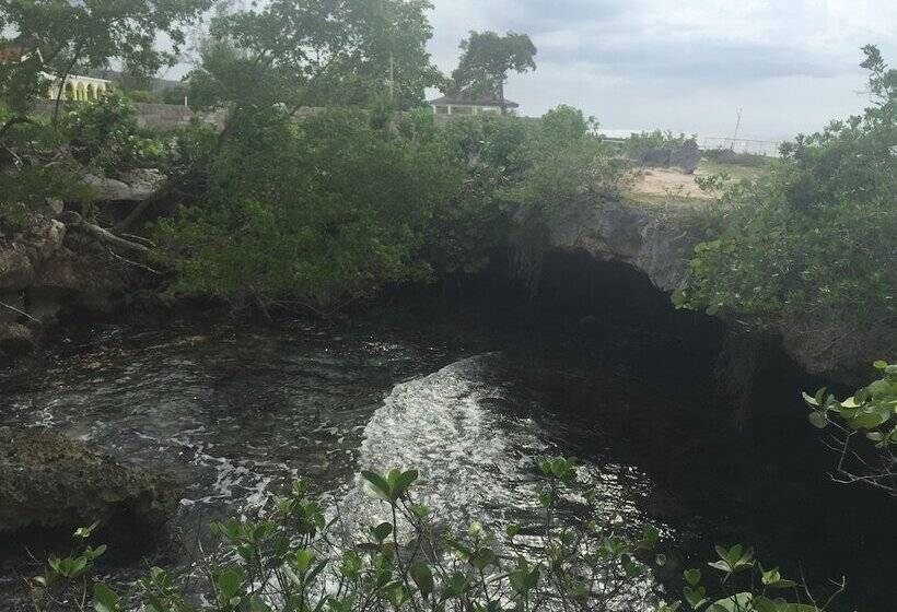 Hotbox Bud & Breakfast   Hostel