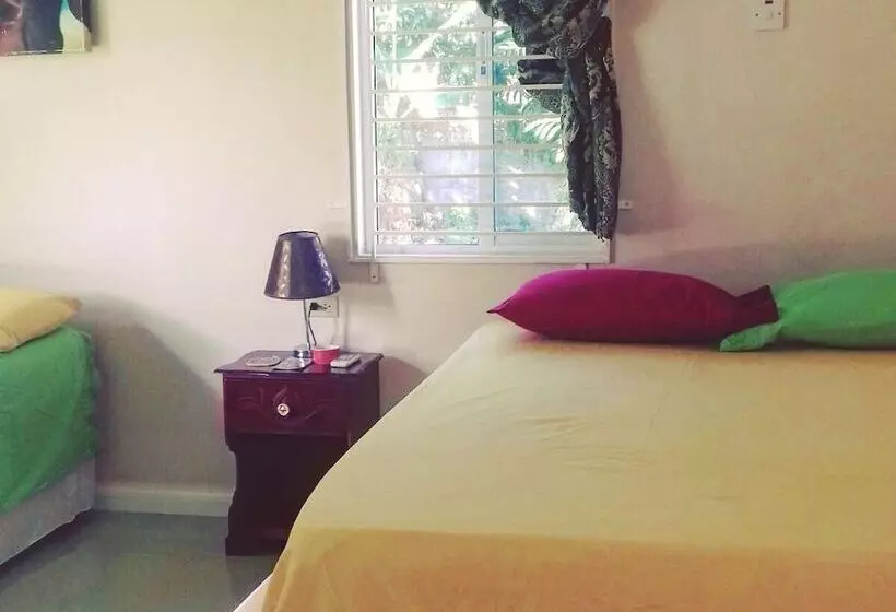Hotbox Bud & Breakfast Hostel