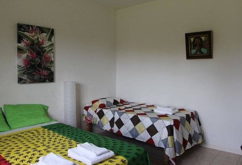 Hotbox Bud & Breakfast   Hostel