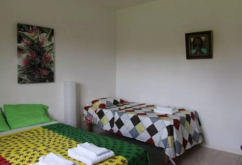 Hotbox Bud & Breakfast Hostel