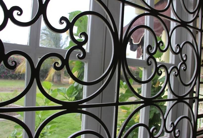 Hotbox Bud & Breakfast   Hostel