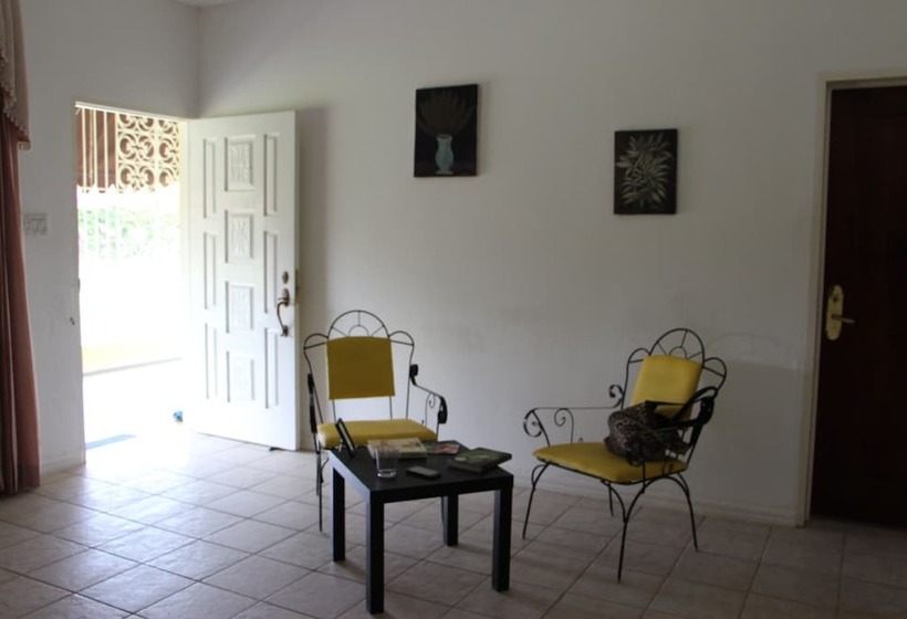 Hotbox Bud & Breakfast   Hostel