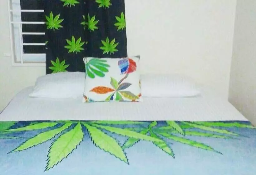 Hotbox Bud & Breakfast Hostel